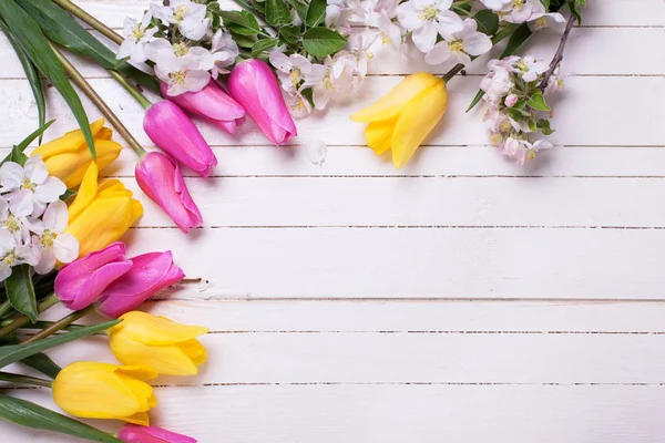 Flores tiernas de primavera — Foto de Stock