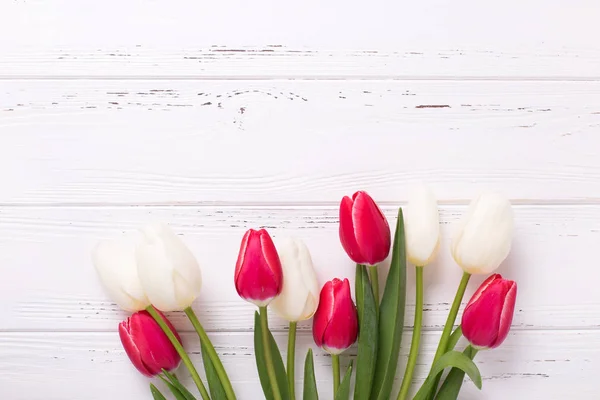 Flores de tulipas vermelhas e brancas — Fotografia de Stock