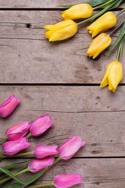 Rosa och gula våren tulpaner — Stockfoto