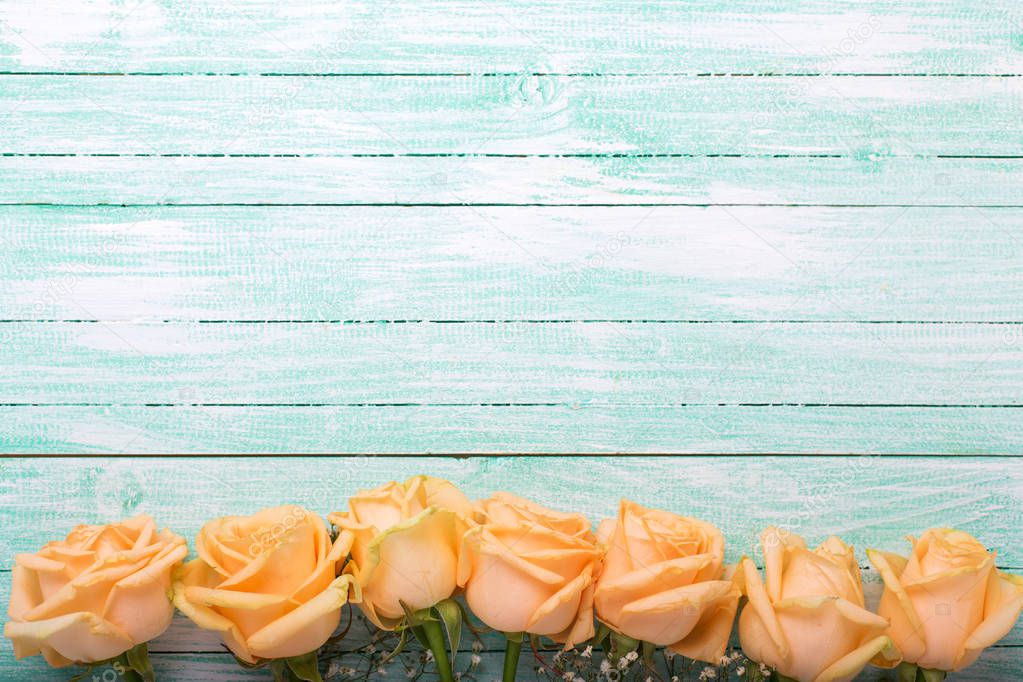 roses on turquoise background