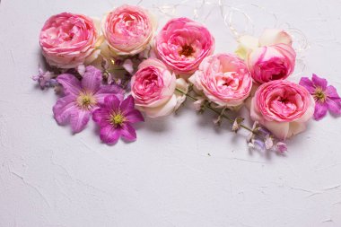 Gül ve menekşe yaz akasma çiçek 