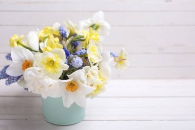  Mavi muscaries ve sarı nergis çiçekleri 