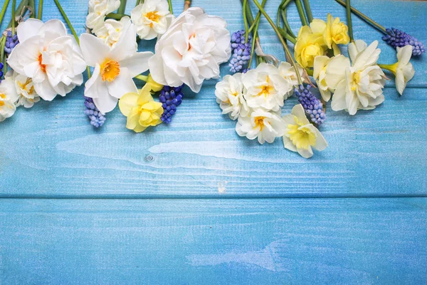 Grens van witte tulpen — Stockfoto