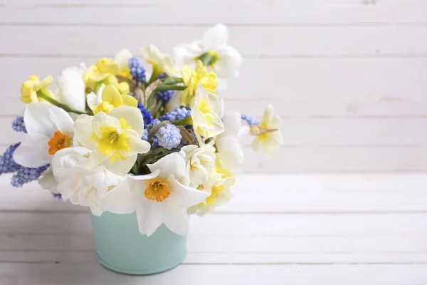 Blauwe muscaries en gele narcis bloemen — Stockfoto