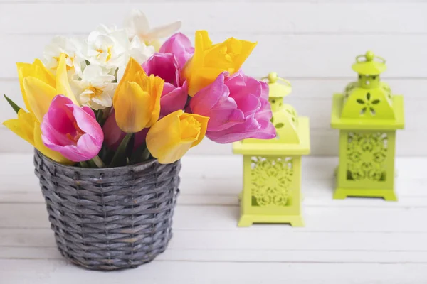 Tulipanes de primavera y narcisos flores —  Fotos de Stock