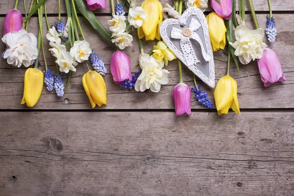 Coloridas flores de primavera y corazón — Foto de Stock