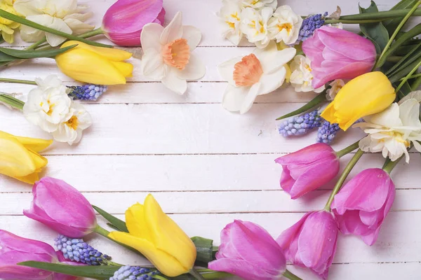 Ljusa tulpaner och påskliljor blommor — Stockfoto