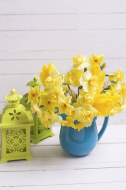 bahar narsisus çiçekleri