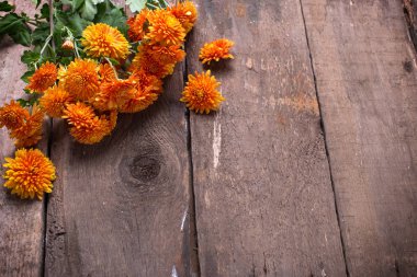 Taze turuncu sonbahar çiçekler