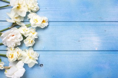 Mavi muscaries ve Nergis çiçek sınır 