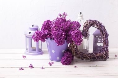 Eflatun çiçekler t, dekoratif kalp ve fenerler 