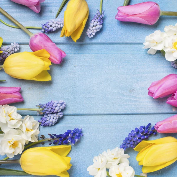 Rahmen aus Tulpen und Narzissenblüten — Stockfoto