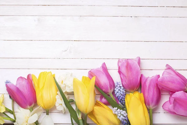 Frontera de los tulipanes de primavera — Foto de Stock