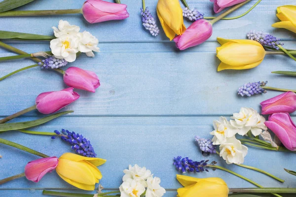 Tulpaner och påskliljor vita blommor — Stockfoto