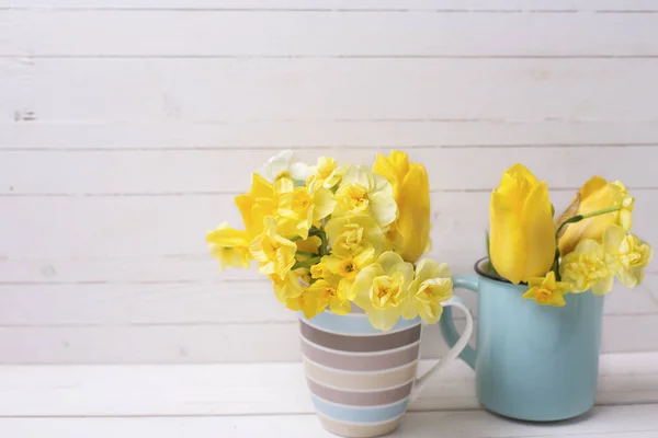 Narzissen blühen im Frühling in Tassen — Stockfoto