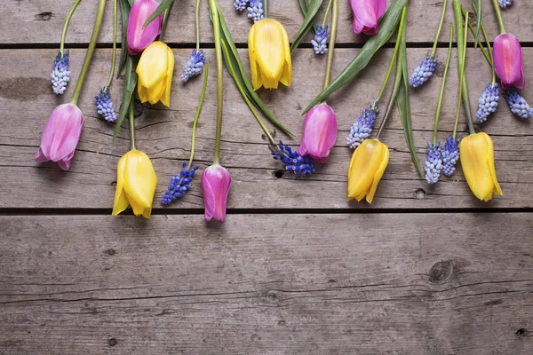 Gränsa från rosa, gula och blå vårblommor — Stockfoto