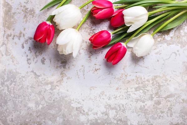 Ljust Rosa Och Vita Tulpaner Blommor Grå Texturerat Bakgrund Med — Stockfoto