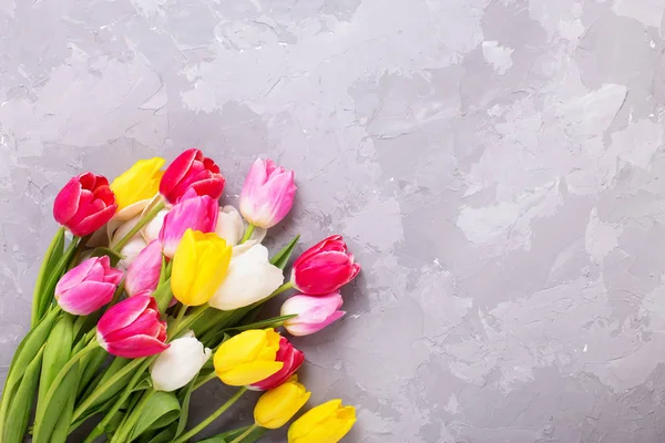 Flores Coloridas Tulipas Primavera Fundo Cinza Texturizado — Fotografia de Stock