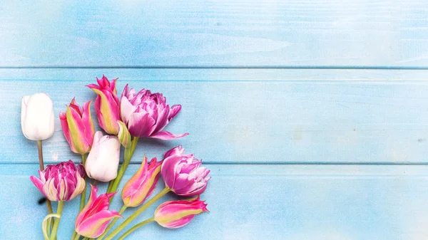 Fondo Primavera Con Tulipani Colore Sfondo Blu Legno — Foto Stock