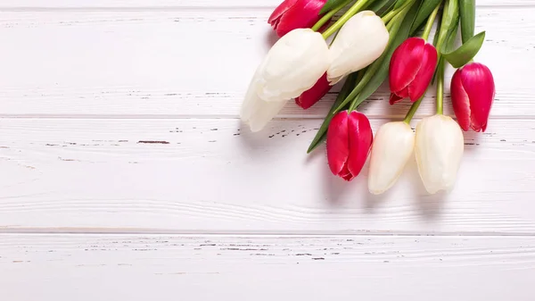 白い木製の背景に明るいピンクと白のチューリップの花 — ストック写真