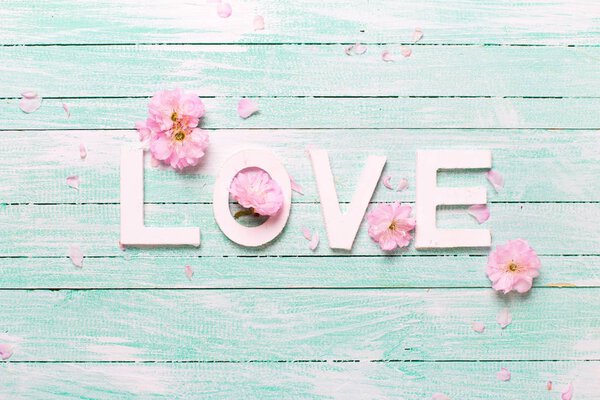 Word love and pink almond flowers on turquoise wooden background. Love concept.