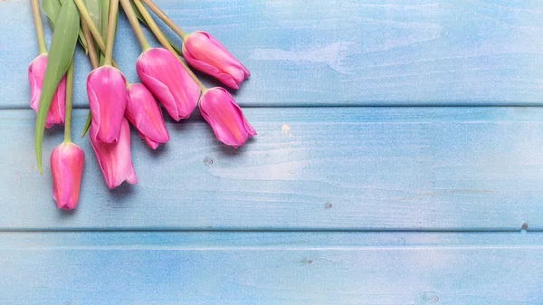 Розовые Тюльпаны Синем Деревянном Фоне Вид Сверху Копировальным Пространством Тонированное — стоковое фото