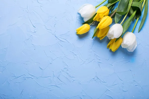 Tulipanes Blancos Amarillos Brillantes Sobre Fondo Azul Texturizado —  Fotos de Stock