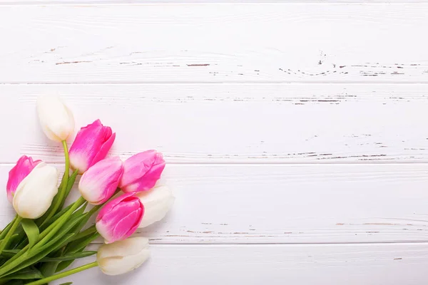 Parlak Pembe Beyaz Lale Çiçek Vintage Beyaz Ahşap Zemin Üzerinde — Stok fotoğraf