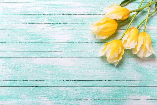 背景与春天郁金香 黄色的郁金香花在碧绿的木制背景上 文本的位置 选择性焦点 — 图库照片