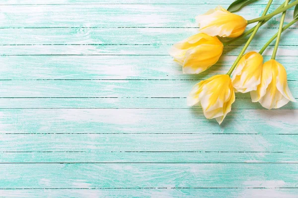 Bakgrund Med Våren Tulpaner Gula Tulpaner Blommor Turkos Trä Bakgrund — Stockfoto