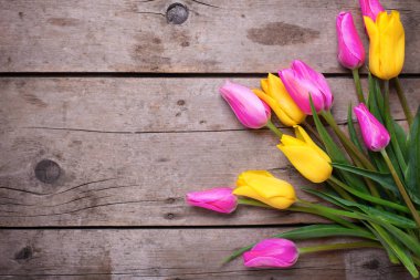 taze pembe ve sarı bahar lale çiçekleri rustik ahşap zemin üzerine