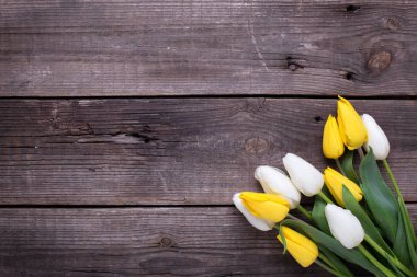 Rustik ahşap arka planda sarı ve Beyaz Lale çiçek bahar