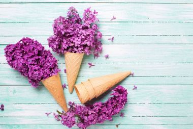 Gözleme koniler turkuaz ahşap zemin üzerine taze leylak çiçeklenir. Üstten Görünüm. Metin için yer