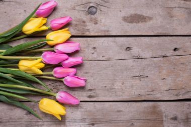 Rustik ahşap zemin üzerine parlak pembe ve sarı bahar laleler