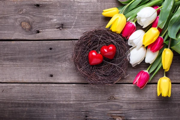 Pequeños Corazones Decorativos Nido Brillantes Tulipanes Primavera Flores Sobre Fondo — Foto de Stock
