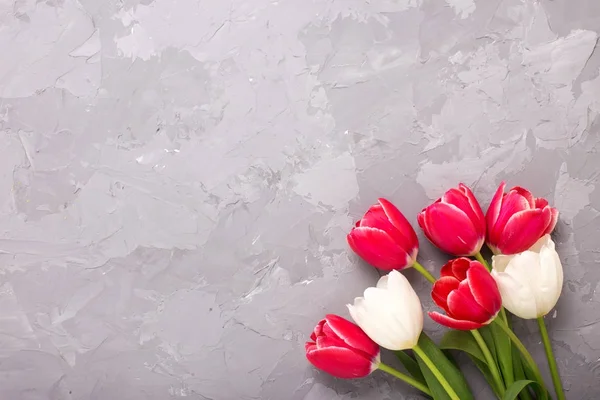 Kleurrijke Rode Witte Tulpen Lentebloemen Grijs Getextureerde Achtergrond Selectieve Aandacht — Stockfoto