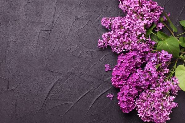 黒の背景に紫春ライラックの花 — ストック写真