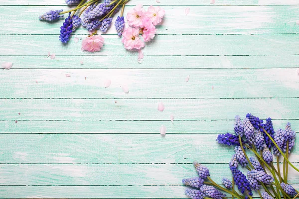 Hintergrund Mit Frühlingsblumen Rand Aus Rosa Mandel Und Blauen Muskarien — Stockfoto