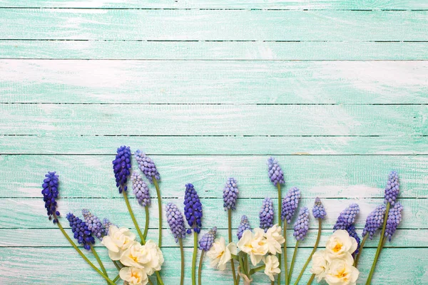 Fundo Com Flores Primavera Muscaries Azuis Flores Narcisos Fundo Madeira — Fotografia de Stock