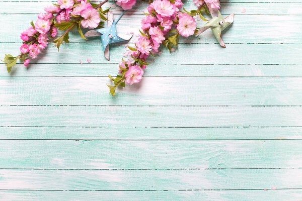 Pink almond flowers and decorative windmills on turquoise wooden background. Top view with copy space