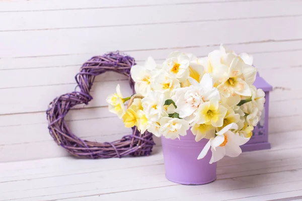 Bahar Nergis Veya Nergis Çiçek Menekşe Pot Fener Dekoratif Kalp — Stok fotoğraf