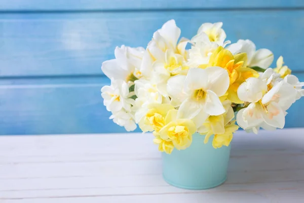 Narciso Bianco Giallo Primaverile Narcisi Fiori Sfondo Blu Legno Concentrazione — Foto Stock