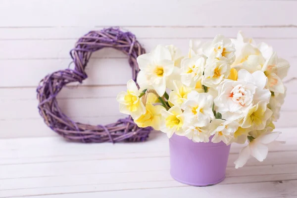 Narciso Primaverile Narcisi Fiori Vaso Viola Cuore Decorativo Sfondo Bianco — Foto Stock