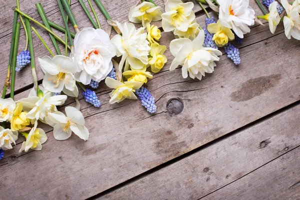 Frontera Coloridos Narcisos Primavera Flores Muscaries Sobre Fondo Rústico Madera —  Fotos de Stock