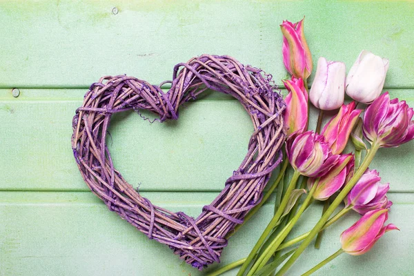 Βιολετί Διακοσμητική Καρδιά Και Φωτεινά Ροζ Άνοιξη Τουλίπες Λουλούδια Πράσινο — Φωτογραφία Αρχείου