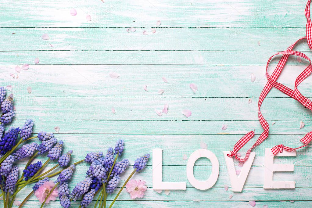 Word love and pink almond and blue muscaries on turquoise wooden background. 