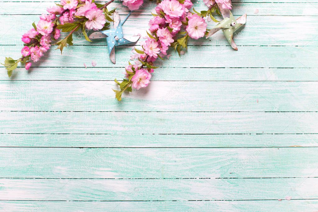 Pink almond flowers and decorative windmills on turquoise wooden background. Top view with copy space