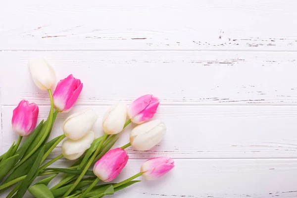 Leuchtend Rosa Und Weiße Tulpenblüten Auf Rustikalem Weißem Holzgrund Selektiver — Stockfoto