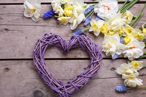 Corazón Decorativo Violeta Flores Narcisas Primavera Narcisos Sobre Fondo Madera — Foto de Stock