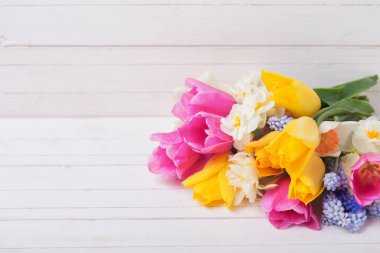 Pembe, sarı, beyaz ve mavi bahar çiçekleri Beyaz ahşap zemin üzerinde laleler ve Nergis. Seçici odak. Metin için yer
